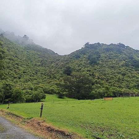 Gumboot Paradise Eco Stay Barrytown Buitenkant foto