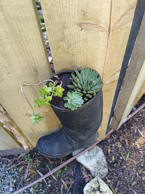 Gumboot Paradise Eco Stay Barrytown Buitenkant foto